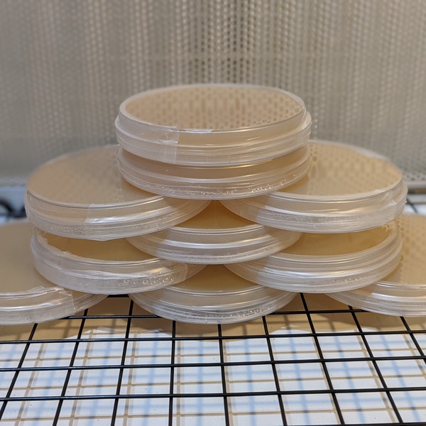 10x Mushroom Agar Plates - Sterile, Pre-poured, MEA