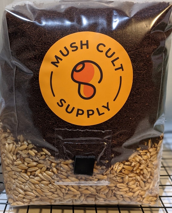 Allinone Mushroom Grow Bag 4lbs Substrate and Grain Etsy