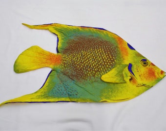 Queen Angelfish Shaped 21 x 38 inch Unstuffed Pillow Shell