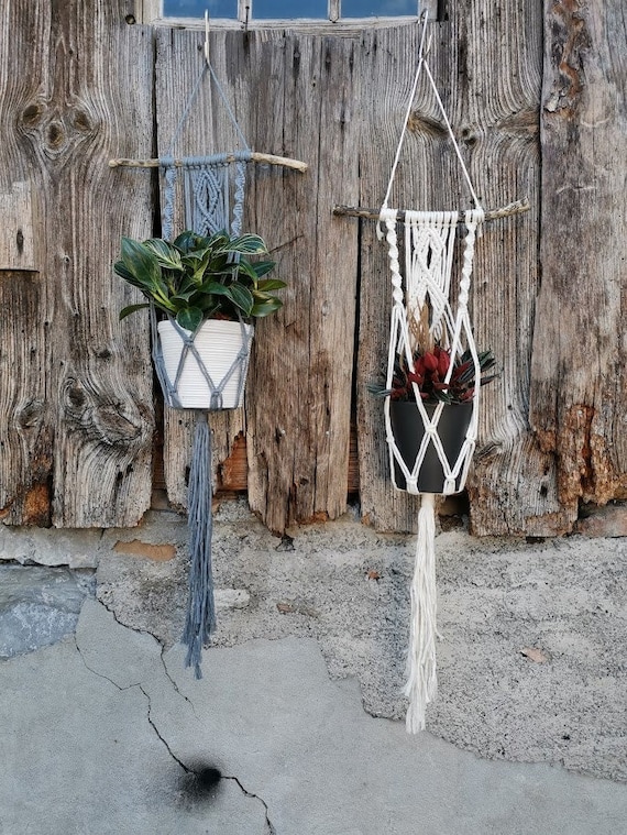 Macrame Driftwood Hanging Basket | Boho Chic Plant Hanger | Sustainable  Gift for Plant Lovers | Model: "vicia" - Etsy