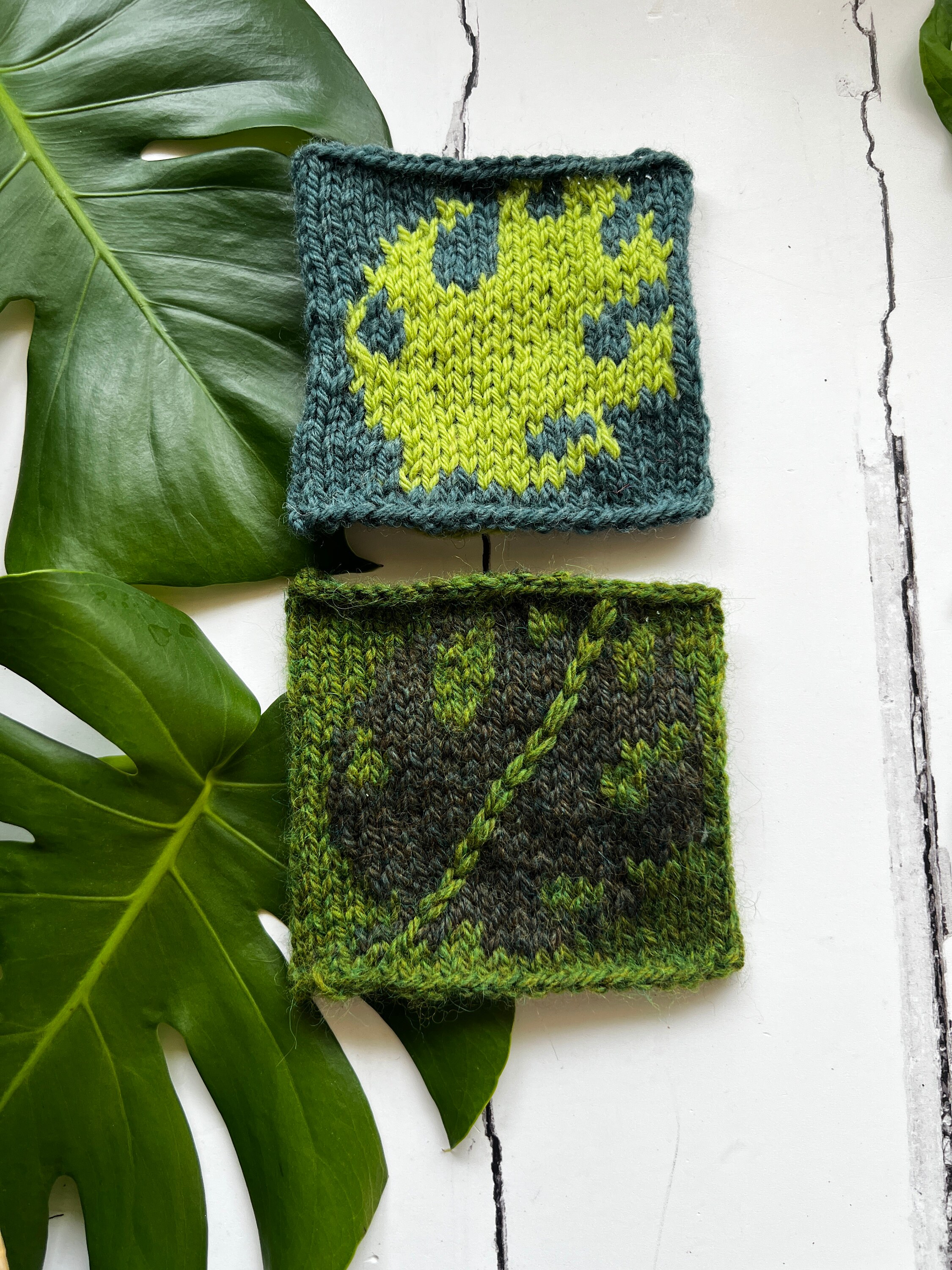 July Colorwork Knitting Patterns - Monstera Deliciosa, Cheese