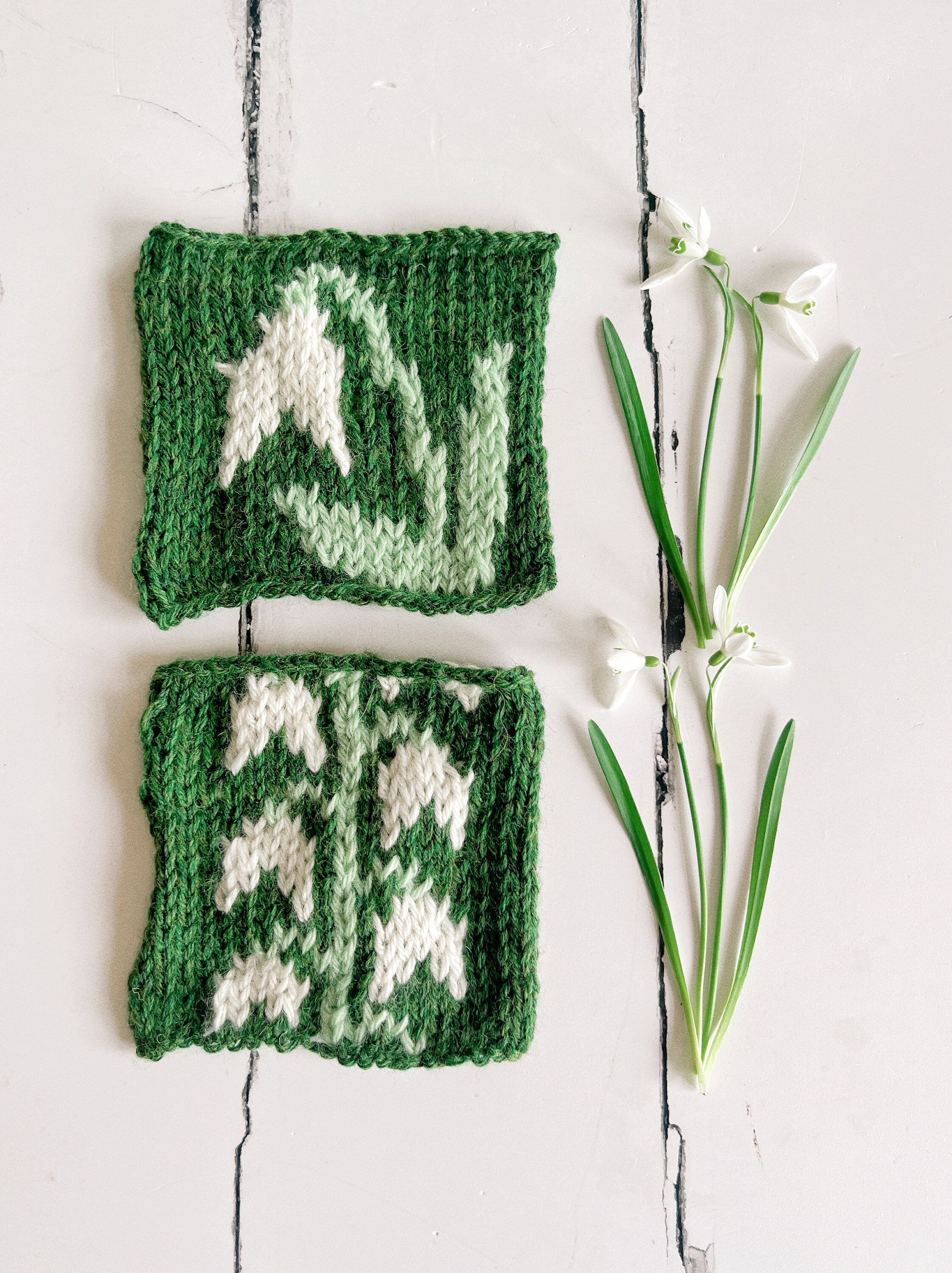 January Pattern January Colourwork Knitting Patterns - Snowdrops and Bluebells - PDF ...