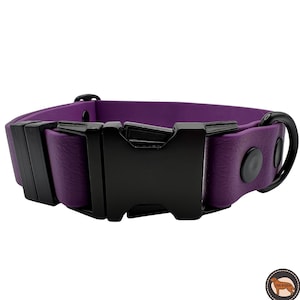 Könnte beinhalten: Lilafarbener Hundehalsband mit einer schwarzen Schnalle und einem D-Ring. Das Halsband ist aus einem weichen, strapazierfähigen Material gefertigt und ist verstellbar für eine bequeme Passform.