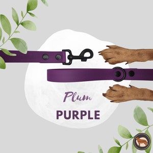 Purple Waterproof Dog Leash, Durable And Easy Wipe Clean Leash, Wide 25mm