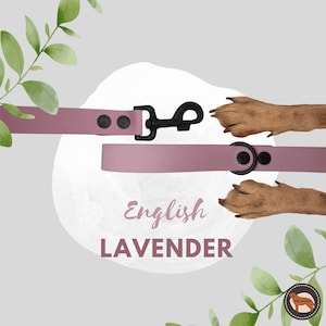 Pink Waterproof Dog Leash, Durable And Easy Wipe Clean Leash, Wide 25mm