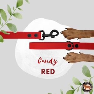 Red Waterproof Dog Leash, Durable And Easy Wipe Clean Leash, Wide 25mm