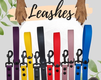 May include: Seven colorful dog leashes with black clasps. The leashes are arranged in a row, with the clasps facing the viewer. The leashes are purple, yellow, black, red, pink, blue, and green. The word "Leashes" is written in black cursive above the leashes.