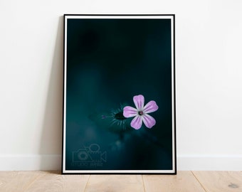 Purple Flower, Photography Print, Digital Download