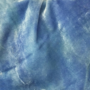 Forget-Me-Knot Hand Dyed Velvet