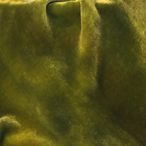 Green Algae Hand Dyed Velvet