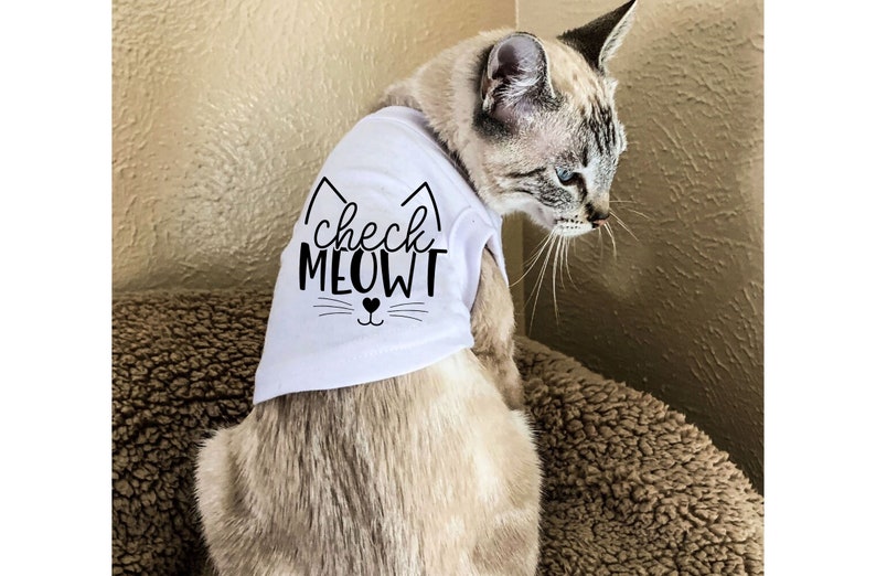Pu&ograve; includere: Un gatto bianco che indossa una maglietta bianca con testo nero che dice "check MEOWT" e un viso di gatto nero con un naso a forma di cuore.
