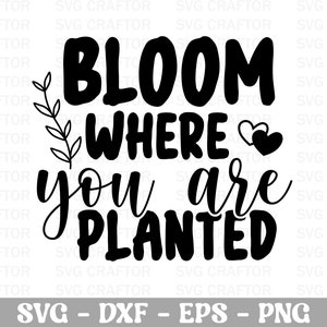 Bloom where you are planted SVG, Self Love Svg,kindness Svg, Inspirational Svg, Mental Health Svg, You Are Enough Svg, Always Be Kind Svg
