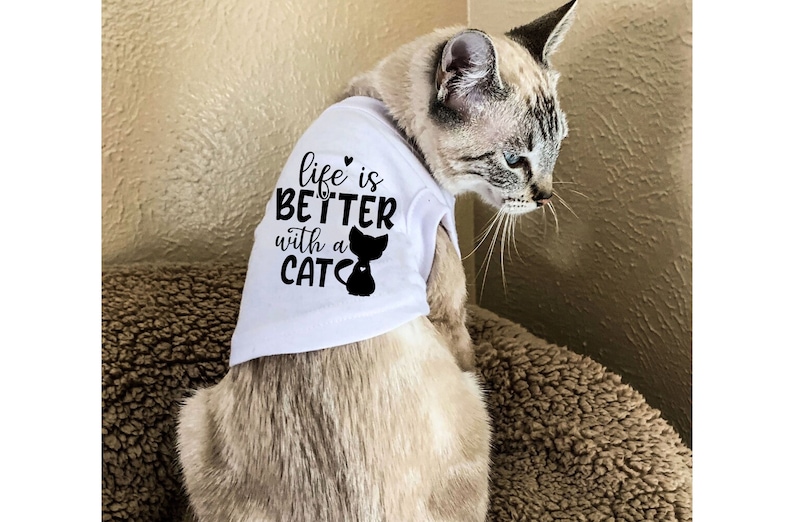 Pu&ograve; includere: Un gatto bianco che indossa una maglietta bianca con la scritta "life is better with a cat" e una silhouette nera di un gatto. Il gatto &egrave; seduto su una superficie di pelo marrone.