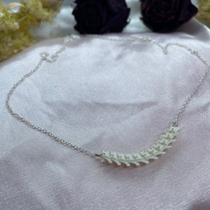 Rattlesnake Vertebrae Necklace