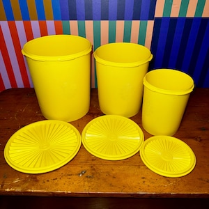Può includere: Un set di tre contenitori di plastica gialla con coperchi abbinati. I contenitori sono cilindrici e di dimensioni variabili. I coperchi sono rotondi con un design radiale. Disposti su una superficie di legno.