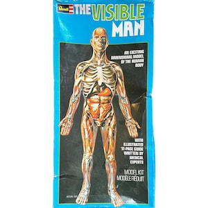 Vintage 1970s Revell the Visible Man Anatomy Model Kit