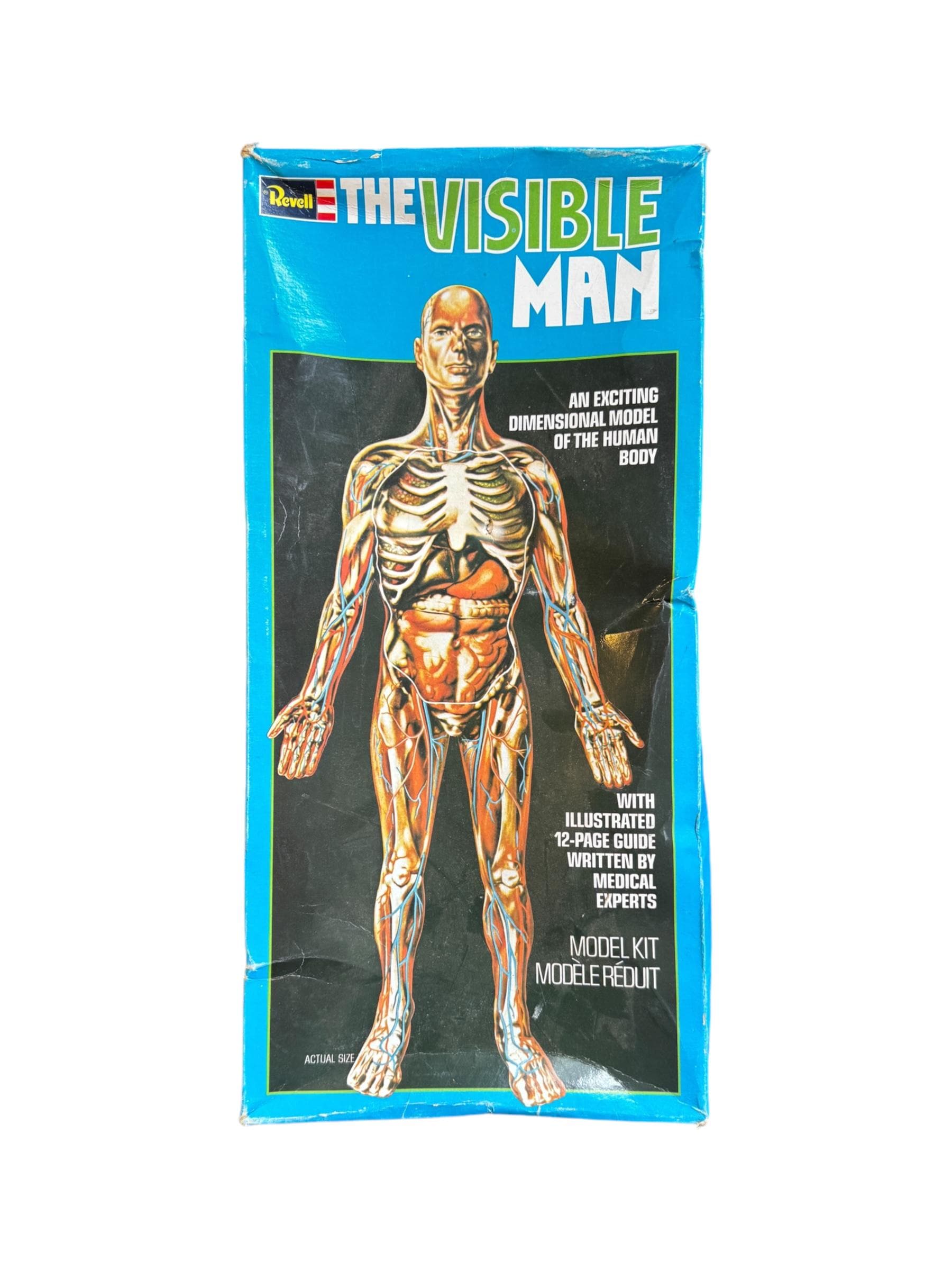 Vintage 1970s Revell the Visible Man Anatomy Model Kit