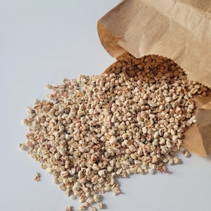 May include: A brown paper bag with a pile of dried, light brown and red seeds spilling out of the open top.