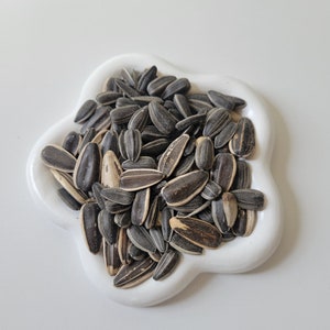 Sunflower Seeds