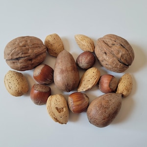 May include: A collection of various nuts, including walnuts, almonds, and hazelnuts. The nuts are arranged on a white surface.
