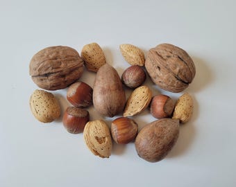 Nut Variety Mix(In Shell)