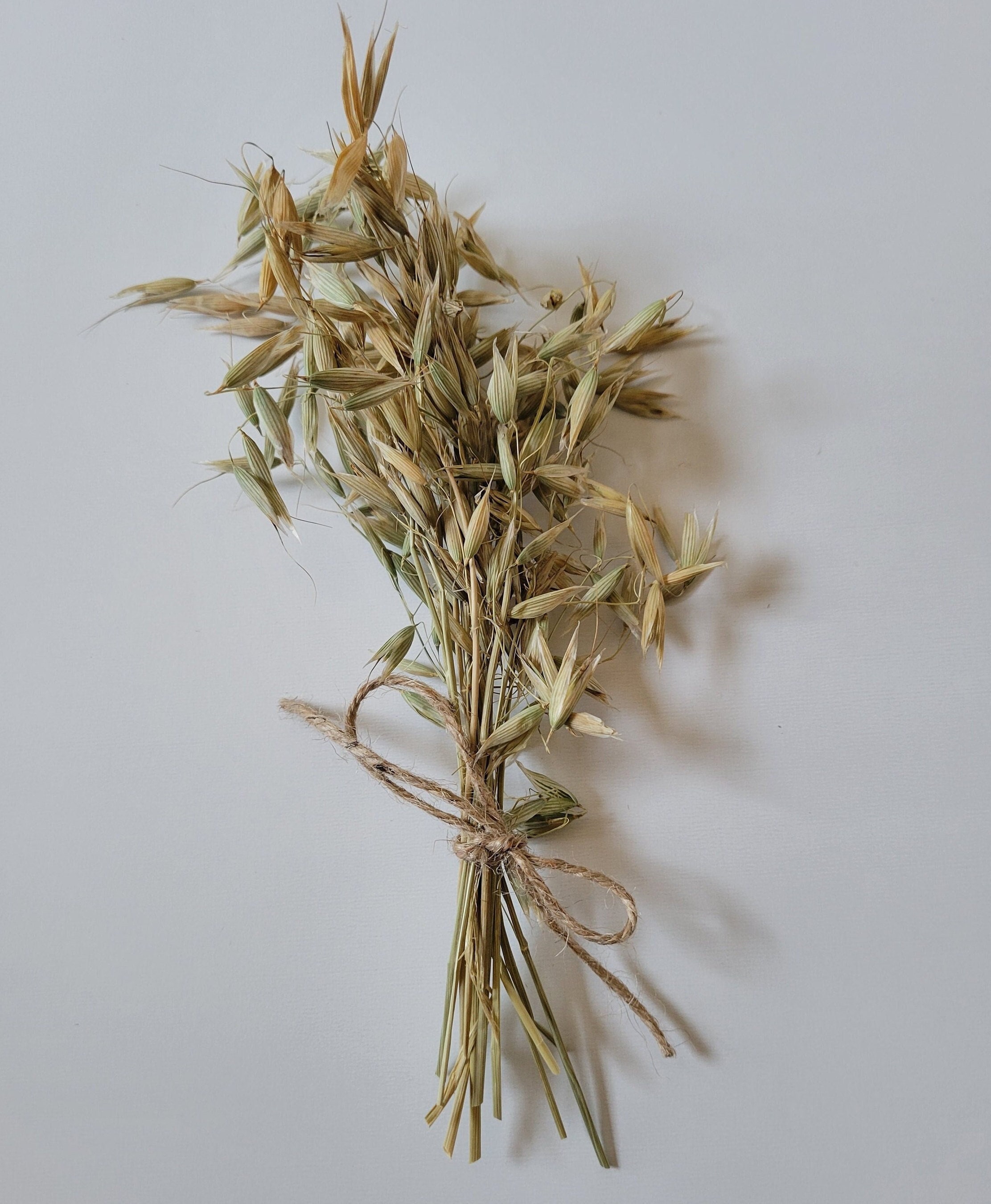 Oat Sprays