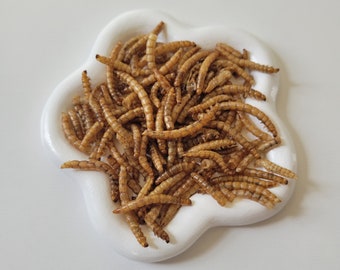 Dried Mealworms