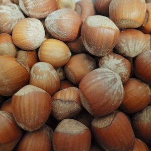 May include: A large collection of whole hazelnuts with smooth, light brown shells. Each nut features a rounded shape with subtle vertical striations and a lighter, textured base. The pile is densely packed, showing various angles of the nuts.