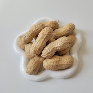 Shelled Peanuts
