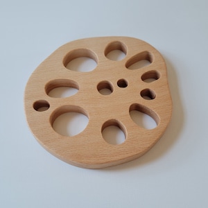Foraging Toy
