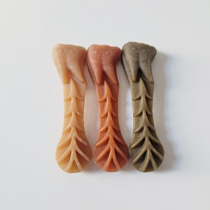 May include: Three dog chew toys in the shape of a tooth with a tree design. The chew toys are brown, orange, and green.