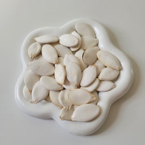 May include: A white ceramic flower-shaped dish filled with a pile of white pumpkin seeds.