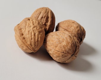 May include: Four whole walnuts with brown shells and rough textures.