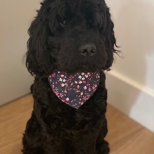 Navy Floral slip over the collar bandana