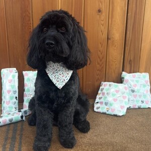 Dog birthday sprinkles/cake over the collar dog bandana