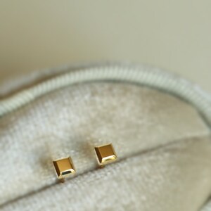 May include: A pair of gold square stud earrings. The earrings are small and simple, and they are perfect for everyday wear.