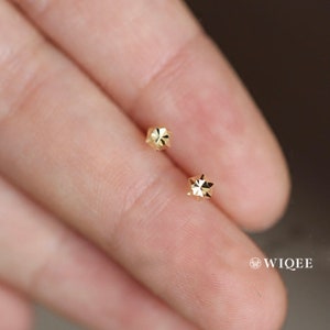 Puede incluir: Un par de peque&ntilde;os pendientes de estrella de oro. Los pendientes son simples y delicados, y ser&iacute;an un gran regalo para un amigo o un ser querido.