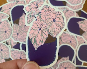 Pink princess plant sticker