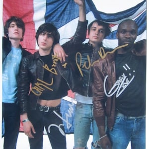 Superb Libertines Hand-Signed 10&quot; x 8&quot; Photo