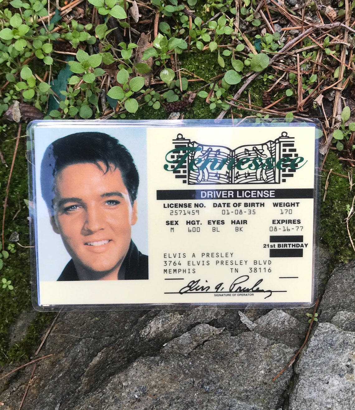 Elvis Drivers License / Elvis Souvenir / Elvis Stocking Etsy Australia