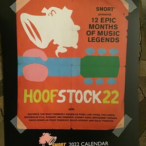 Cisco Snort 2022 Wall Calendar | Etsy