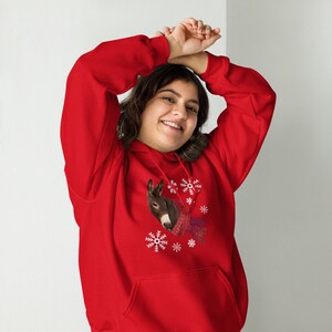 Winter Donkey Hoodie, Dokey snowflake sweatshirt, Donkey sweater