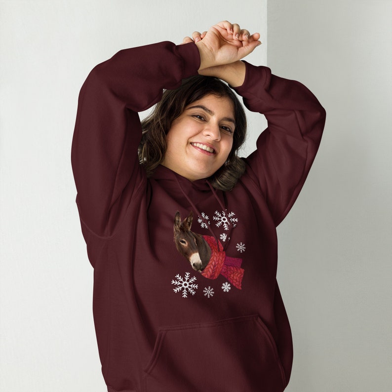 Winter Donkey Hoodie, Dokey snowflake sweatshirt, Donkey sweater