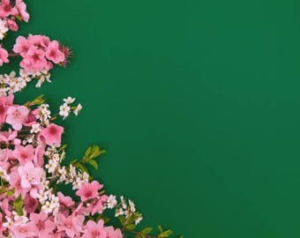 Soyez prudent, ne faites pas de conneries - Porte-clés à graver (papa/maman)