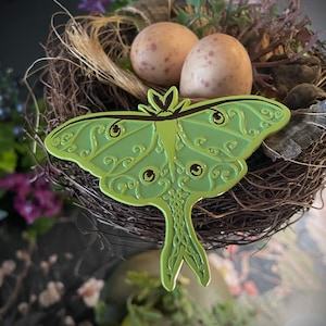 Luna Moth Emalj Pins ~ Art Nouveau Style
