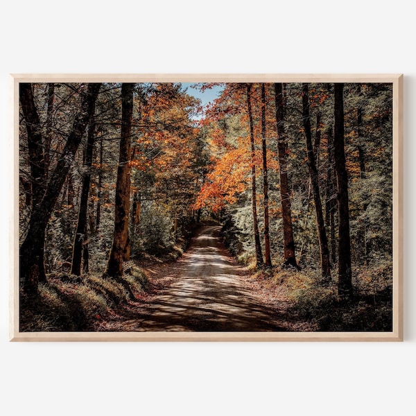 Autumn Road, Woodland Path, Landscape Wall Art, Forest Photography, Cades Cove Loop Road, Tennessee Landscape, Smoky Mountains Print