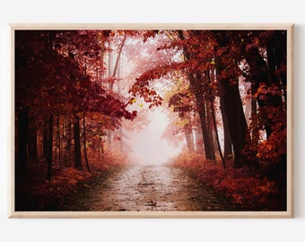 Foggy Autumn Forest Photography Print, Woodland Landscape Wall Art (Digital Download)