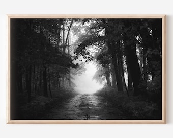 Foggy Forest Photography Print, Black and White Landscape (Digital Download)