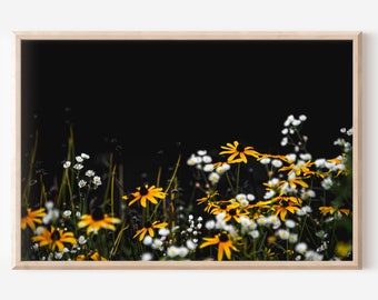 Daisy Flower Photography Print, Botanical Wall Art (Digital Download)