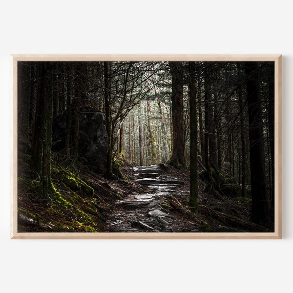 Mountain Trail Print, Smoky Mountains Photography, Smokies Wall Art, Hiking Trail, Andrews Bald Trail Print, Dark Forest Print, Forest Path